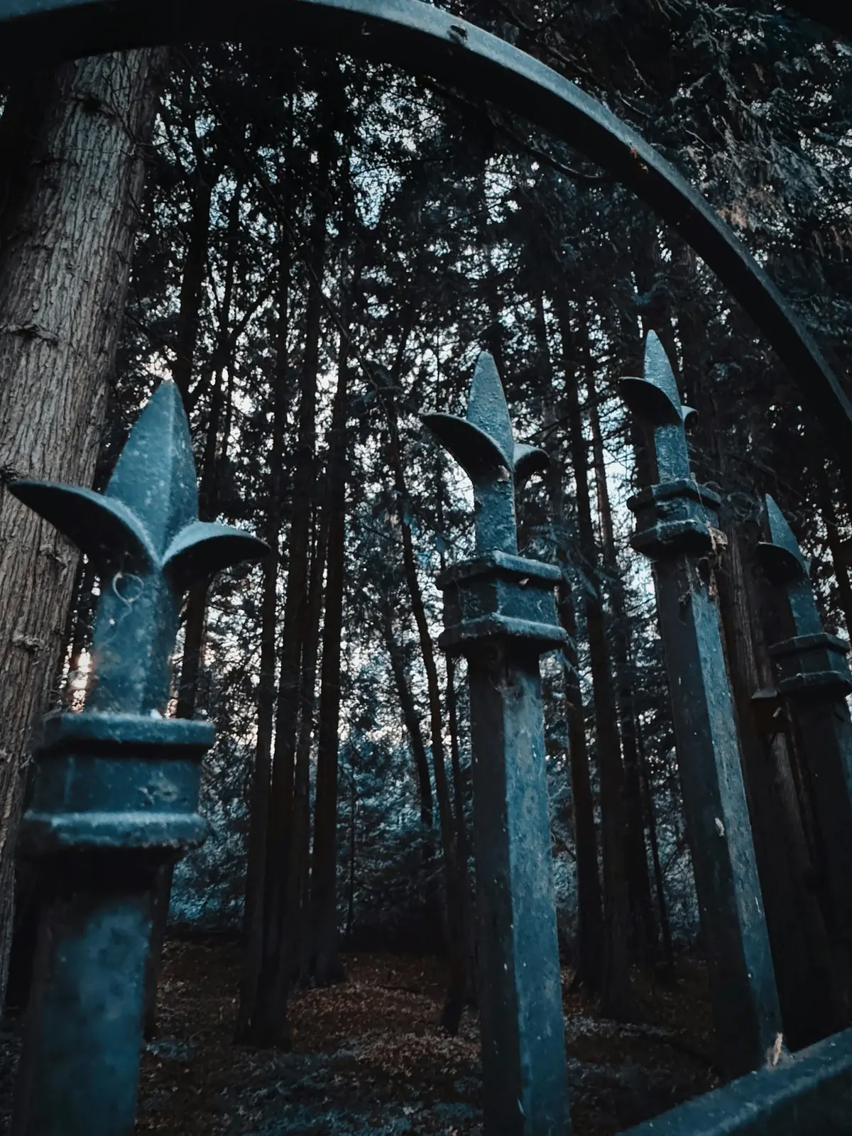 Estate Gates Louisville, KY, modern dark iron gate
