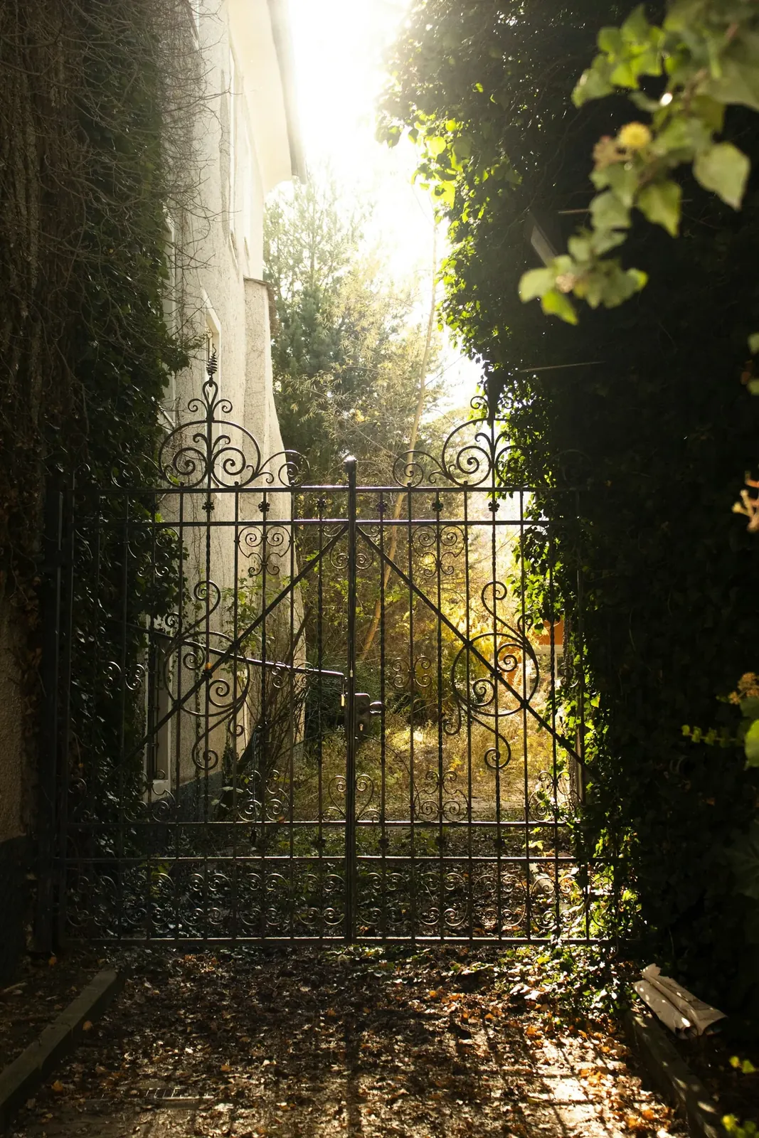 Garden Gates Louisville, KY, modern gate open to a garden